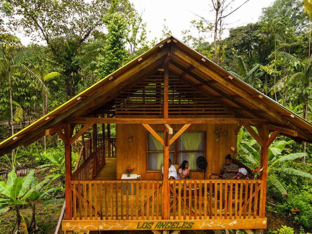 Mama Yeya Raices San Cipriano