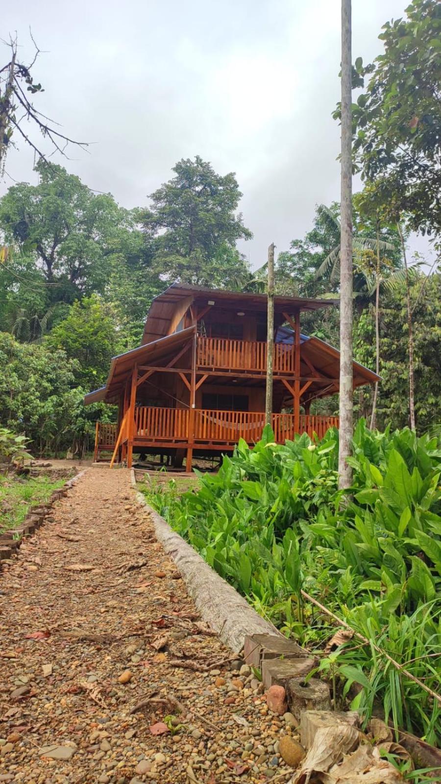 Mama Yeya Raices * San Cipriano